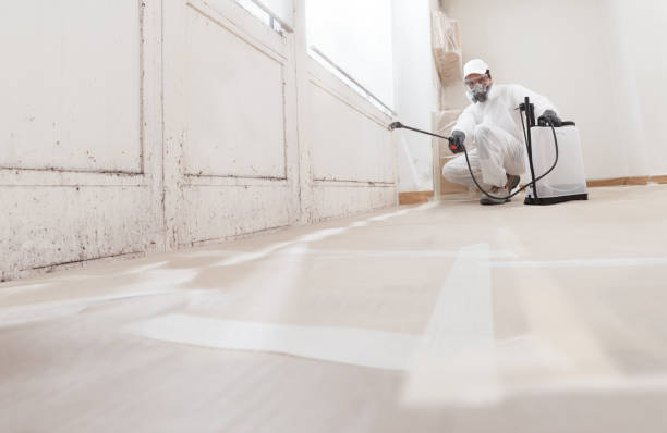 24/7 Emergency Attic Mold Remediation experts in Plano, TX